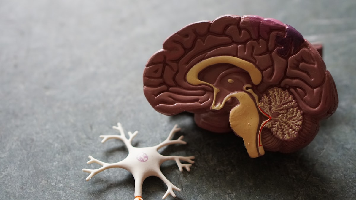 Best AI Tools Every Doctor and Clinic Should Use in 2026